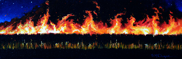 Fields on Fire by Scott McDougall | Lethbridge Gallery